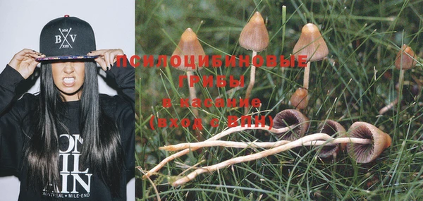 альфа пвп Ельня