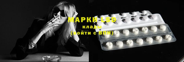 мдма Елизово