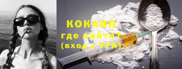 амф Почеп
